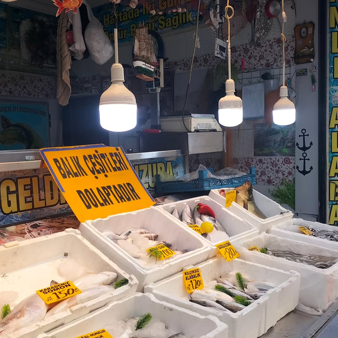 Munzur Balıkçısı 